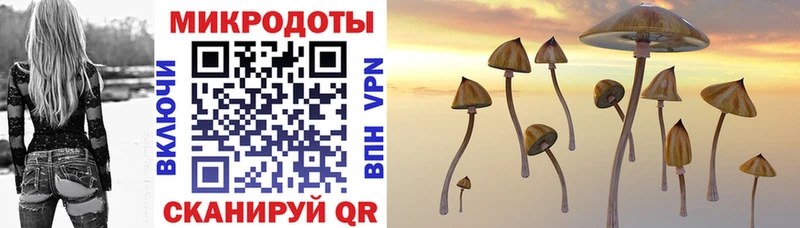 Псилоцибиновые грибы мицелий  мега ссылка  Североуральск 